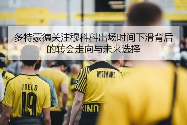 多特蒙德关注穆科科出场时间下滑背后的转会走向与未来选择